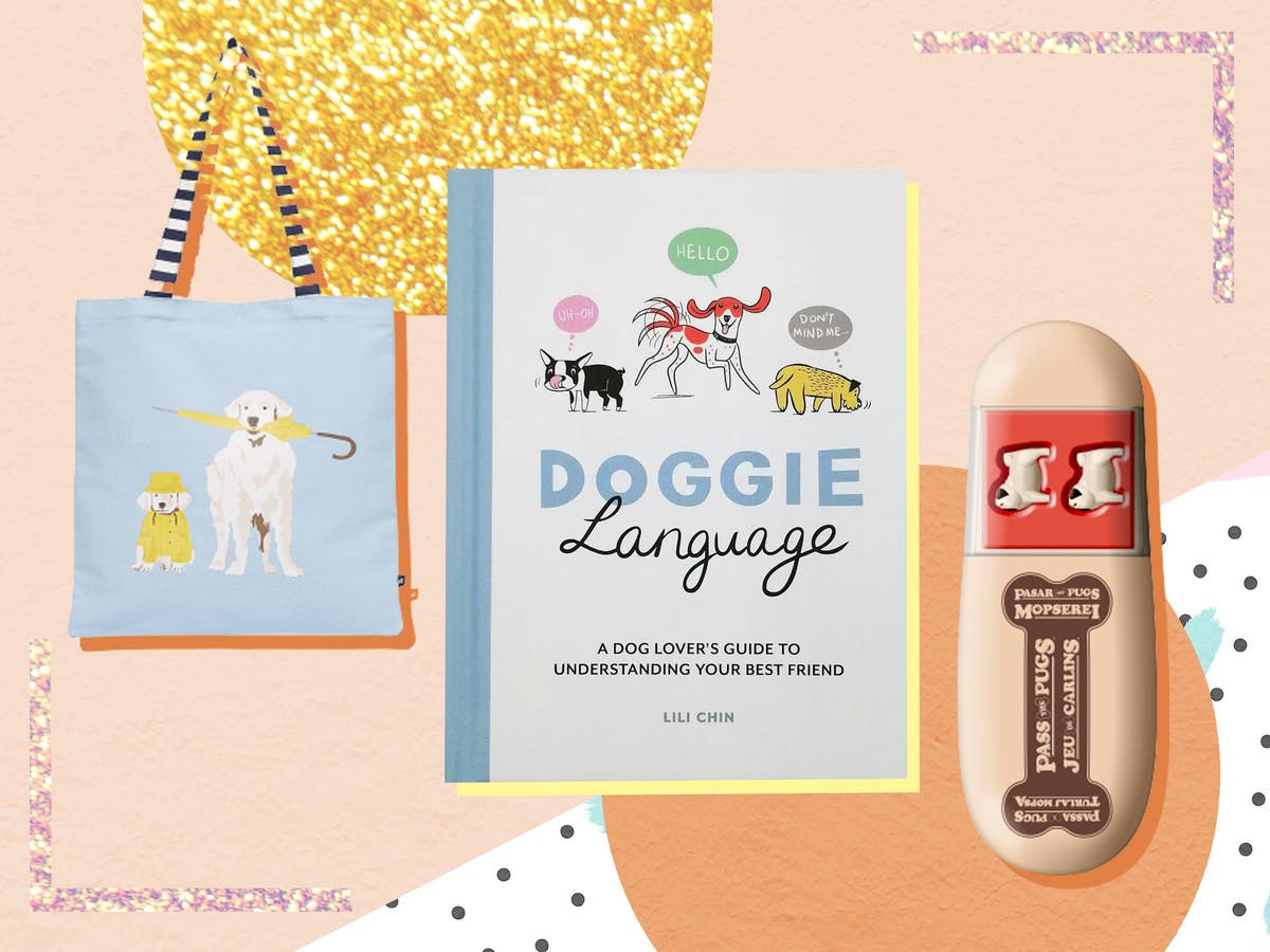 Best gifts for dogs lovers 2021 From prints and collars to toys for